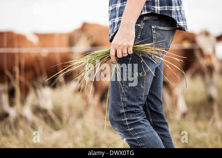 Mittelteil der Bauer hält Rasen auf Feld Stockfoto