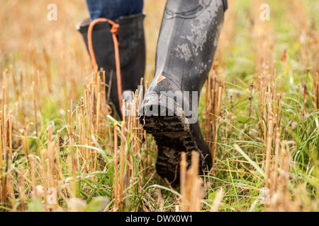 Niedrige Teil der Landwirt zu Fuß in Feld Stockfoto