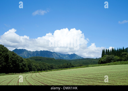 Mt. Togakushi und Ackerland, Nagano, Japan Stockfoto