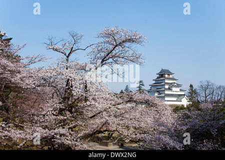 Tsurugajo Burg und Kirsche Bäume, Fukushima, Japan Stockfoto