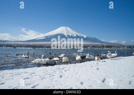 Yamanaka-See und Mt. Fuji im Winter, Yamanashi, Japan Stockfoto