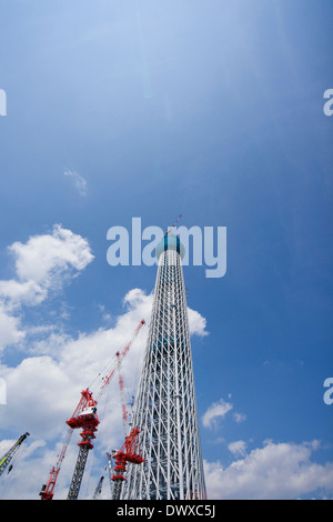 Tokyo Sky Tree im Bau, Tokyo, Japan Stockfoto