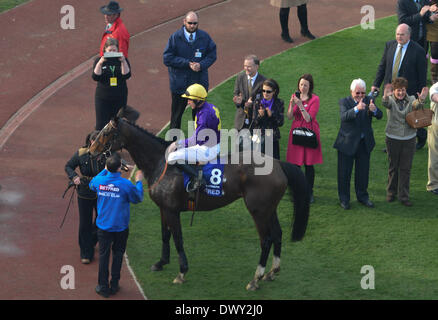 Cheltenham, Vereinigtes Königreich. 14. März 2014. Lord Windermere gewinnt den Gold Cup beim Cheltenham Gold Cup Festival 2014, Tag 4, The Cheltenham Gold Cup Freitag. Bildnachweis: Jules Annan/Alamy Live News Stockfoto