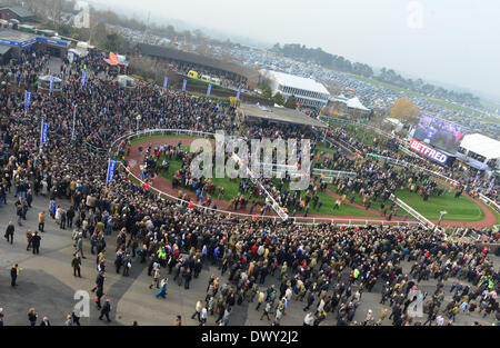 Cheltenham, Vereinigtes Königreich. 14. März 2014. Lord Windermere gewinnt den Gold Cup beim Cheltenham Gold Cup Festival 2014, Tag 4, The Cheltenham Gold Cup Freitag. Bildnachweis: Jules Annan/Alamy Live News Stockfoto