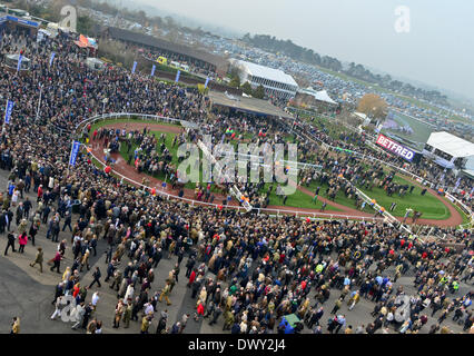 Cheltenham, Vereinigtes Königreich. 14. März 2014. Lord Windermere gewinnt den Gold Cup beim Cheltenham Gold Cup Festival 2014, Tag 4, The Cheltenham Gold Cup Freitag. Bildnachweis: Jules Annan/Alamy Live News Stockfoto