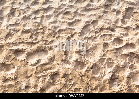 Viele menschliche Fußspuren im Sand am Strand Stockfoto