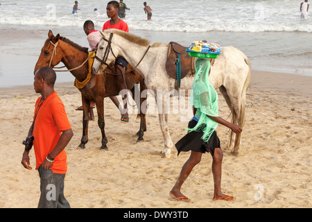 Pferde am Strand, Accra, Ghana, Afrika Stockfoto