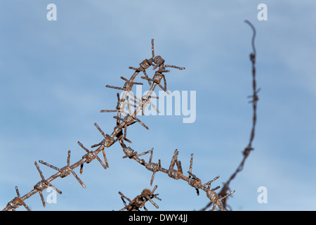 Urbeis, Frankreich, Gedenkstätte des Lingekopfes Stockfoto