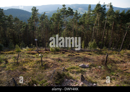 Urbeis, Frankreich, Gedenkstätte des Lingekopfes Stockfoto