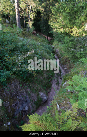 Urbeis, Frankreich, Gedenkstätte des Lingekopfes Stockfoto