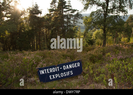 Urbeis, Frankreich, Gedenkstätte des Lingekopfes Stockfoto