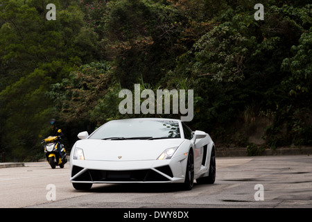 Lamborghini LP560-4 Super Car in weißer Farbe Stockfoto