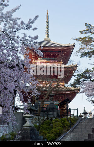 Yasaka Pagode und Kirsche blüht, Kyoto Präfektur, Japan Stockfoto