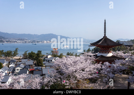 Fünfstöckige Pagode umgeben von Kirschblüten, Hatsukaichi, Präfektur Hiroshima, Japan Stockfoto