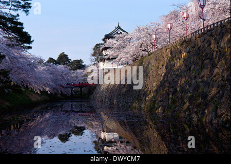 Kirschblüten in Hirosaki Schloss Hirosaki, Präfektur Aomori Japan Stockfoto