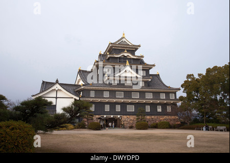 Burg Okayama, Okayama, Okayama Präfektur, Japan Stockfoto