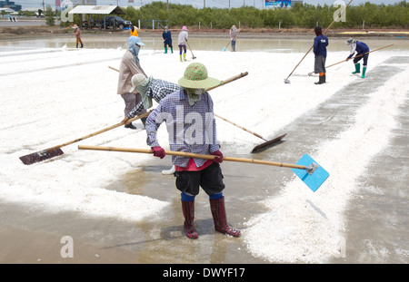 Salz Salz Bauernhof in Thailand zu sammeln Stockfoto