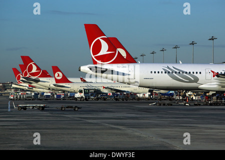 Istanbul, Türkei, Heckfluegel Maschinen der Fluggesellschaft Turkish Airlines Stockfoto