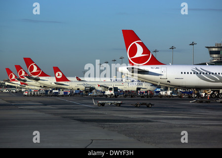 Istanbul, Türkei, Heckfluegel Maschinen der Fluggesellschaft Turkish Airlines Stockfoto