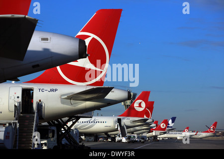 Istanbul, Türkei, Heckfluegel Maschinen der Fluggesellschaft Turkish Airlines Stockfoto