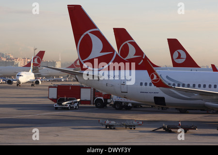 Istanbul, Türkei, Heckfluegel Maschinen der Fluggesellschaft Turkish Airlines Stockfoto