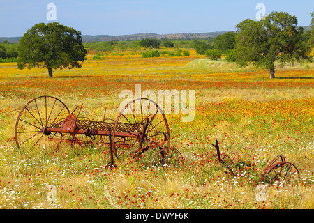 Einem alten Bauernhof-Anbaugerät ruht auf einem Gebiet der Wildblumenwiese in Texas Hill Country. Stockfoto