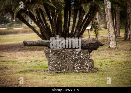 Eine Waffe aus einem Schiffswrack geborgen sitzt auf einem Stein Coquina-Stand in St. Augustine Fountain of Youth archäologischen Park Stockfoto