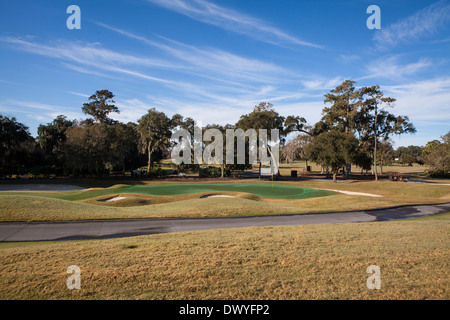 Abgebildet ist der Stadium Course des TPC Sawgrass in Ponte Vedra Beach, Florida Stockfoto