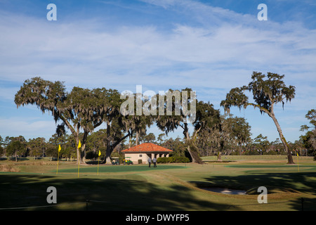 Abgebildet ist der Stadium Course des TPC Sawgrass in Ponte Vedra Beach, Florida Stockfoto