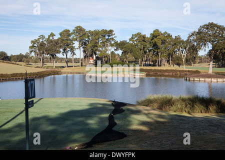 Abgebildet ist das berühmte 17. Inselgrün Loch des TOC Sawgrass Stadium Course in Ponte Vedra Beach, Florida Stockfoto