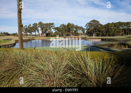 Abgebildet ist das berühmte 17. Inselgrün Loch des TOC Sawgrass Stadium Course in Ponte Vedra Beach, Florida Stockfoto