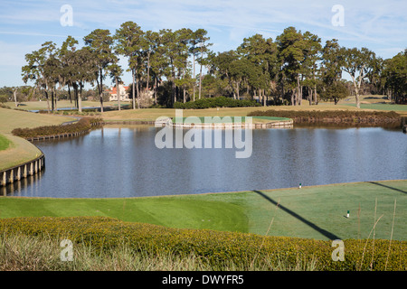 Abgebildet ist das berühmte 17. Inselgrün Loch des TOC Sawgrass Stadium Course in Ponte Vedra Beach, Florida Stockfoto