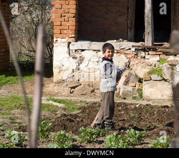 Bulgarien Strandja Gebirge 2014: In seinem ersten Jahr der Grundschule hilft dieser junge Bursche im familiären Obst- und Gemüsegarten.  Bildnachweis: Clifford Norton/Alamy Live-Nachrichten Stockfoto