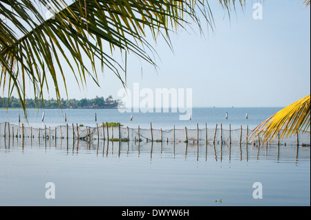 Süd Süd Indien Kerala Kottayam, Kumarakom Lake Resort Hotel Wasser Garten Rückstau Palme Baum Bäume detail Stockfoto