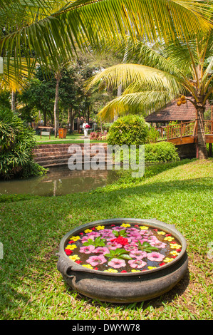 Süd Süd Indien Kerala Kottayam, Wasser Kumarakom Lake Resort Hotel Blumen Topf Garten Holzbrücke Rückstau Stockfoto