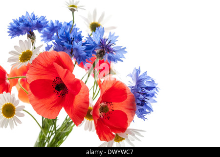 Bouquet von Wildblumen - Margeriten, Mohn, Kornblumen - auf weißem Hintergrund, Studio-Aufnahme mit Textfreiraum Stockfoto