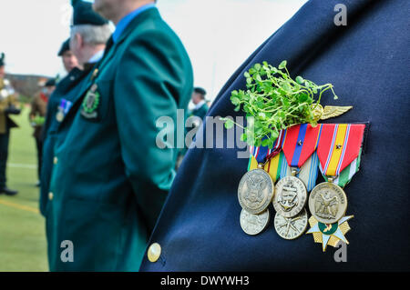 Lisburn, Nordirland. 15. März 2014 - An alten Kameraden trägt einen Zweig der Shamrock zusammen mit seinem Medaillen bei Shamrock Präsentation und Trommelfell Service, Thiepval-Kaserne Credit: Stephen Barnes/Alamy Live News Stockfoto