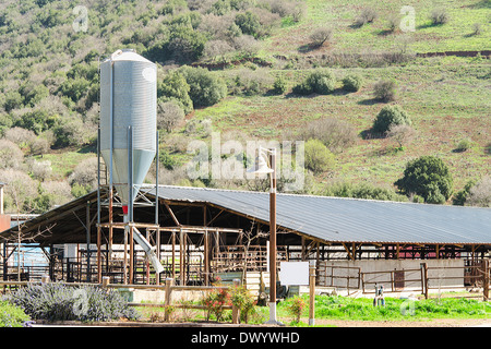 Rustikaler Stall mit Silo in der Landschaft Aginst Frühjahr blühende Hügel Stockfoto