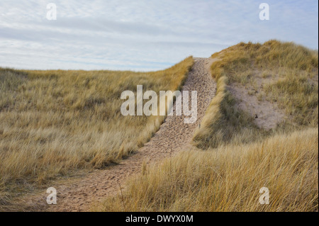 Sanddünen am hinter Bay, East Lothian, Schottland. Stockfoto