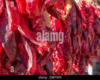 Rote Chilies trocknen in der Sonne in Santa Fe, New Mexico. Stockfoto