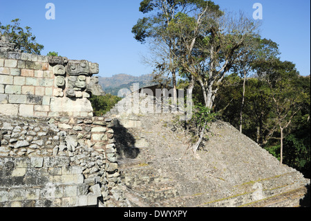 Die Maya-Ruinen von Copán in Honduras Stockfoto