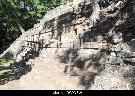 Die Maya-Ruinen von Copán in Honduras Stockfoto