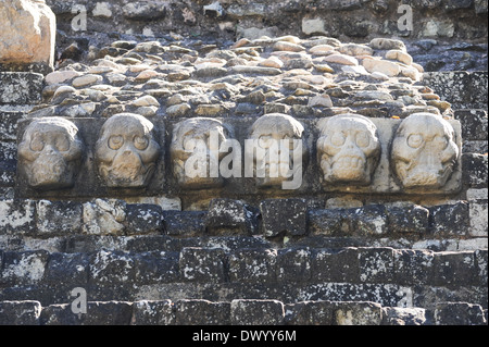 Die Maya-Ruinen von Copán in Honduras Stockfoto