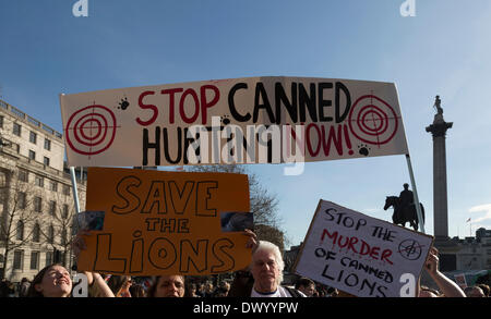 Trafalgar Square, London, UK, 15. März 2014. Globale März für Löwen, Konserven ein Massenprotest in Metropolen weltweit gegen die organisierte Jagd auf Löwen. Bildnachweis: Colin Hutchings/Alamy Live-Nachrichten Stockfoto