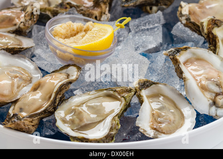 Rohe Austern serviert auf der Halbschale auf Eis. Stockfoto