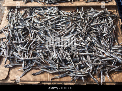 Getrockneten Fisch stand auf meiner Stadt Markt Tho Vietnam Stockfoto