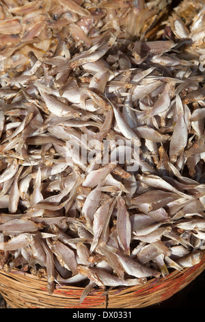 Getrockneten Fisch stand auf meiner Stadt Markt Tho Vietnam Stockfoto