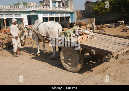 1 indische Bauern Pulling Ochsenkarren Stockfoto