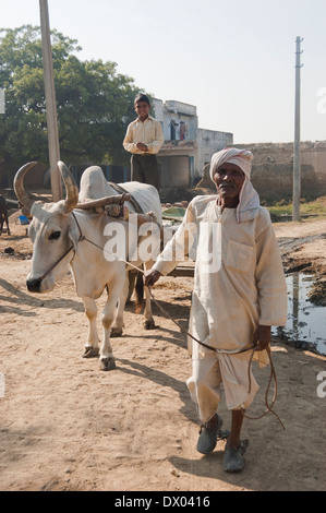 1 indische Bauern Pulling Ochsenkarren Stockfoto