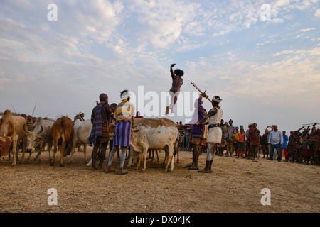 Hamer Mann an einem Stier springen Zeremonie in der Nähe von Turmi im Omo-Tal. Stockfoto